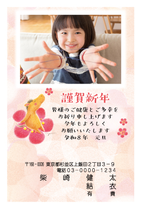 プリンター写真タイプ